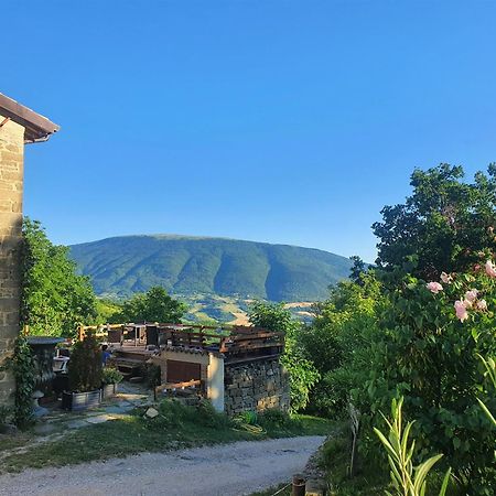 Le Ginestre Guesthouse Asís Exterior foto